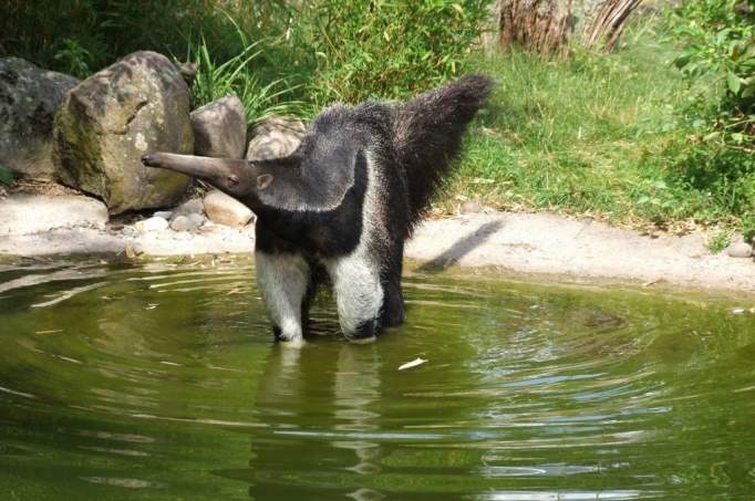 Zoo Dortmund - © Zoo Dortmund