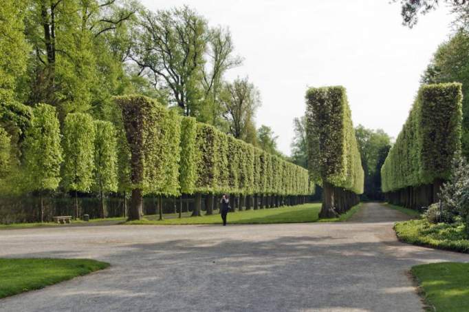 Schlosspark Benrath - © Horst Zwerenz