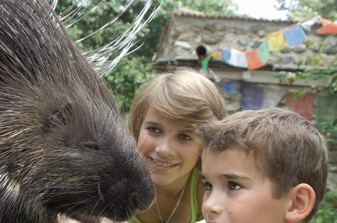 Görlitz Nature Zoo - © Naturschutz-Tierpark Görlitz e.V.