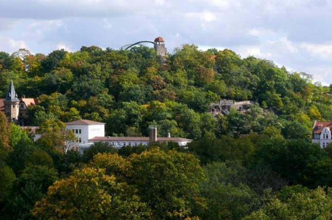 Zoo Halle (Bergzoo) - © Zoologischer Garten Halle GmbH