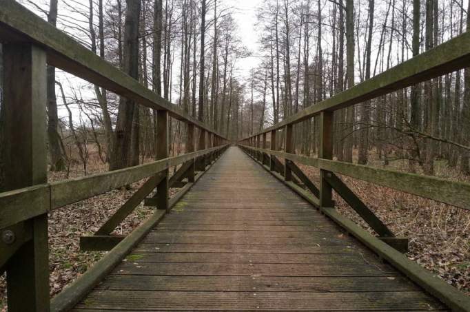 Ozeanbrücke - © doatrip.de