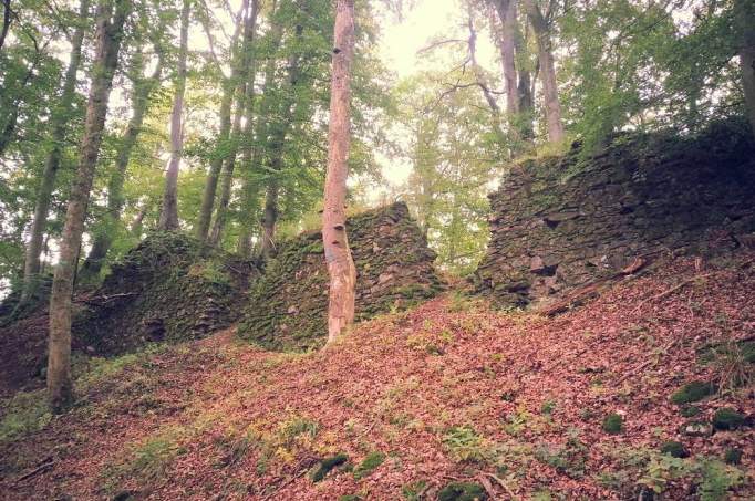 Burgruine Neue Burg Padberg - © doatrip.de