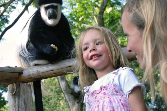 Allwetterzoo Münster - © Allwetterzoo Münster