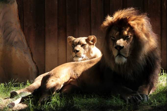 Zoo Neuwied - © Förderverein Zoo Neuwied e.V.