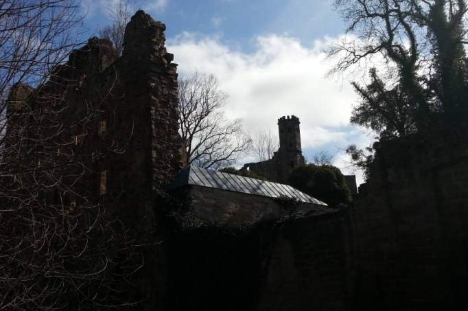 Hardenberg Castle Ruins - © doatrip.de