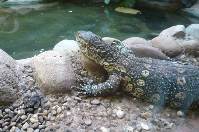 Osnabrück Zoo - © doatrip.de