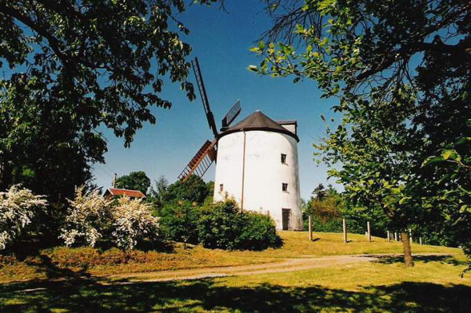 Windmühle Syrau - © Gemeinde Syrau
