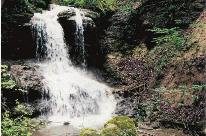 Mühlbachschlucht - © Stadt Tengen