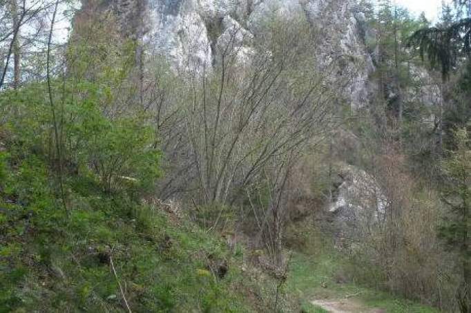 Eppenstein Castle Ruins - © Tim Heykamp