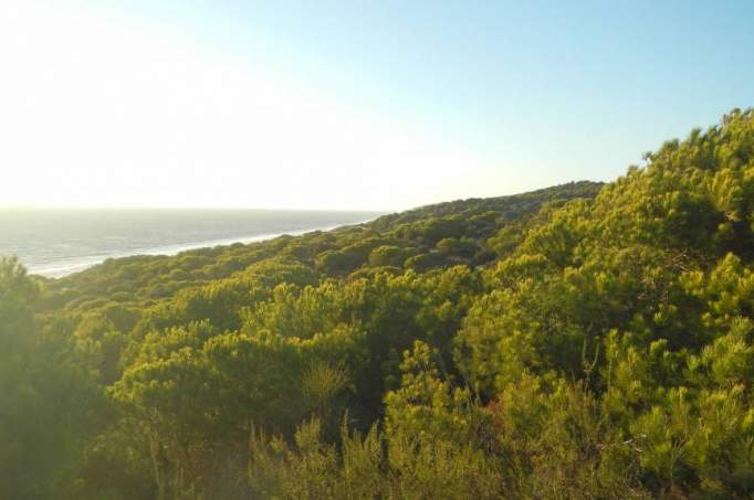 Nationalpark Coto de Doñana - © doatrip.de