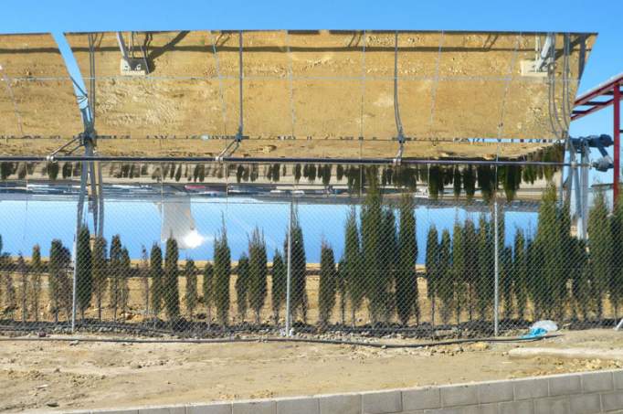 Ausflugsziel Solarwärmekraftwerk PS10 in Sanlúcar la Mayor DOATRIP.de