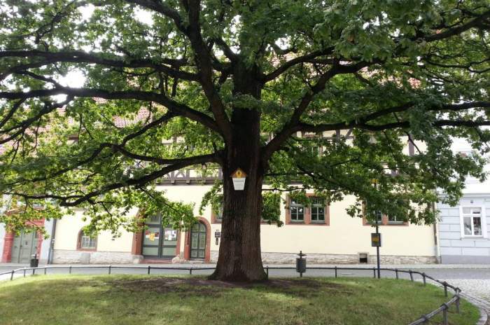 Arnstadt - © doatrip.de