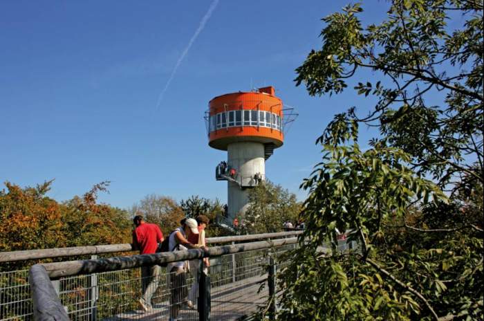 Bad Langensalza - © Baumkronenpfad Hainich