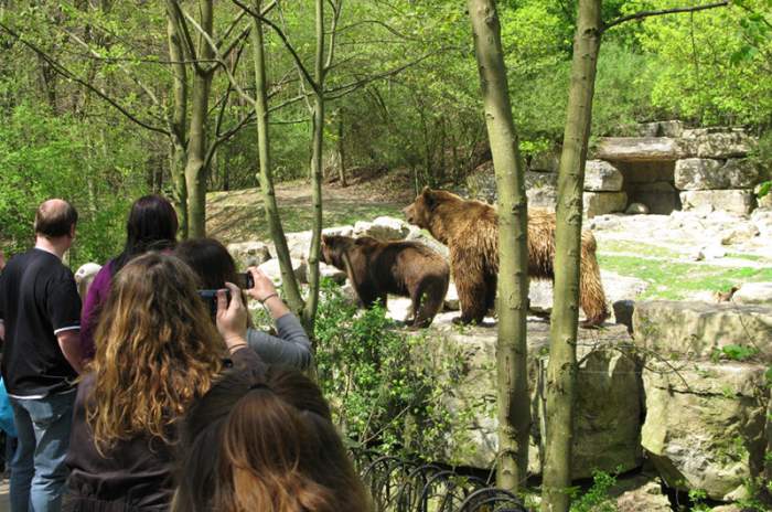 Bad Mergentheim - © Fauna Wildpark GmbH