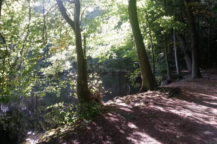 Bruchhausen-Vilsen - © doatrip.de Bruchhausen-Vilsen - © doatrip.de