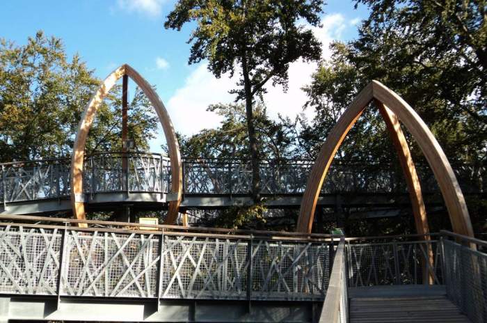 Edertal - © Baumkronenweg Edersee UG (haftungsbeschränkt) & Co. KG Edertal - © Baumkronenweg Edersee UG (haftungsbeschränkt) & Co. KG