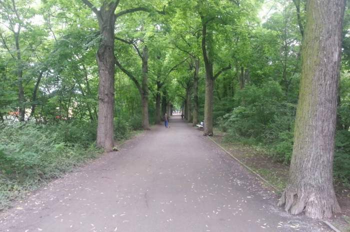 Erfurt - © doatrip.de Erfurt - © doatrip.de