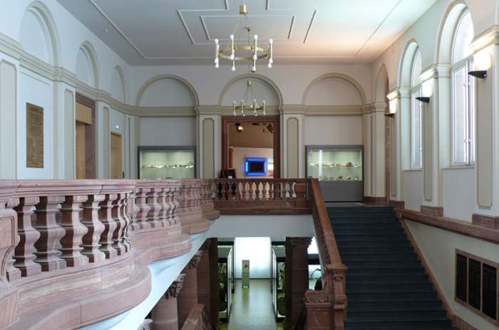 Frankfurt am Main - © Senckenberg Gesellschaft für Naturforschung