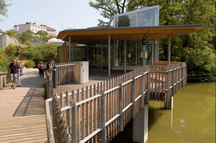 Frankfurt am Main - &copy; Gibbon-Haus am Großen Weiher, Foto: Zoo Frankfurt/Michael Leibfritz 