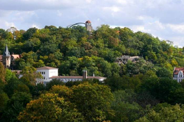 Halle (Saale) - © Zoologischer Garten Halle GmbH