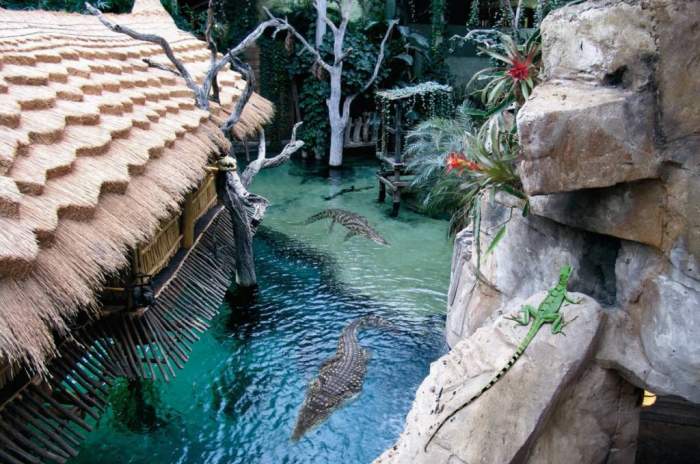 Hamburg - © Tierpark Hagenbeck
