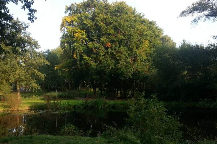 Harpstedt - © doatrip.de