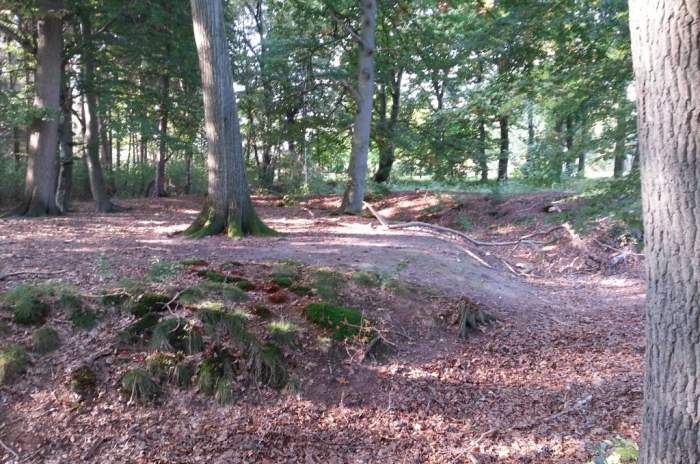 Harpstedt - © doatrip.de