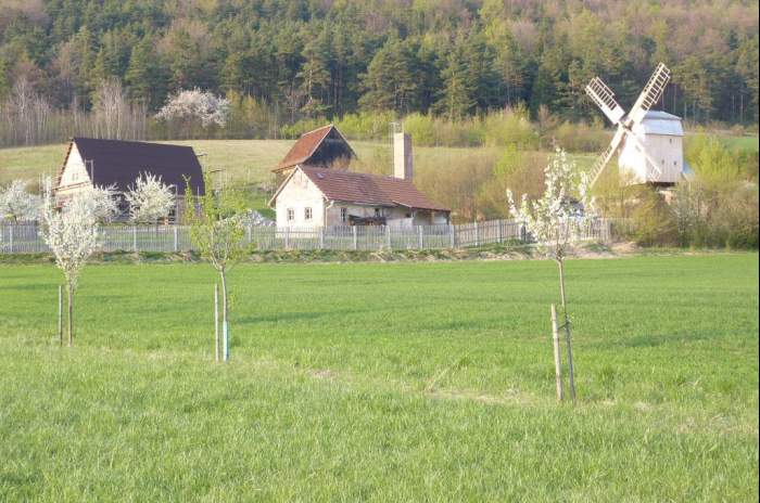 Hohenfelden - © Thüringer Freilichtmuseum Hohenfelden