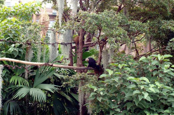 Leipzig - © Leipzig Zoo