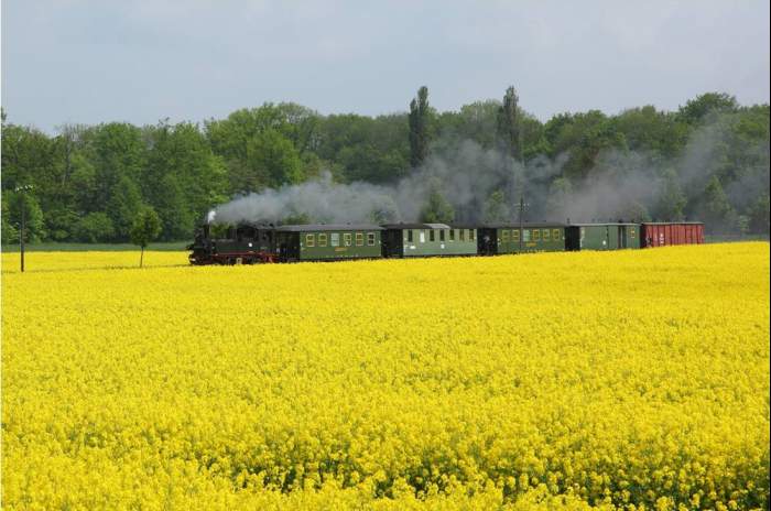 Mügeln - © Sven Bartsch / Döllnitzbahn
