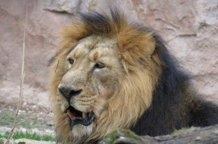 Nuremberg - © Tiergarten Nürnberg Nuremberg - © Tiergarten Nürnberg