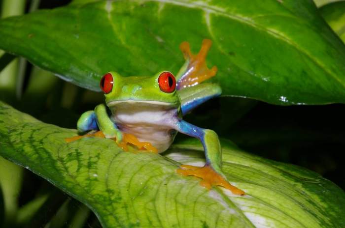 Nürnberg - © Tiergarten Nürnberg Nürnberg - © Tiergarten Nürnberg
