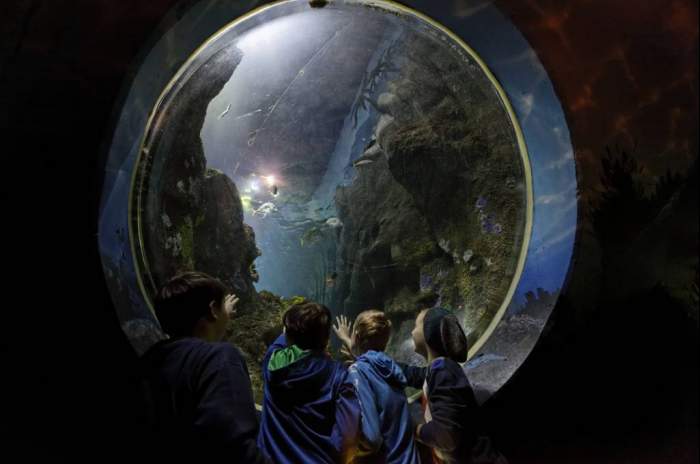 Oberhausen - © SEA LIFE Deutschland GmbH Oberhausen - © SEA LIFE Deutschland GmbH