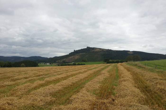 Olsberg - © doatrip.de