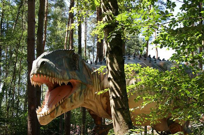 Rehburg - © Dinosaurier-Park Münchehagen Rehburg - © Dinosaurier-Park Münchehagen