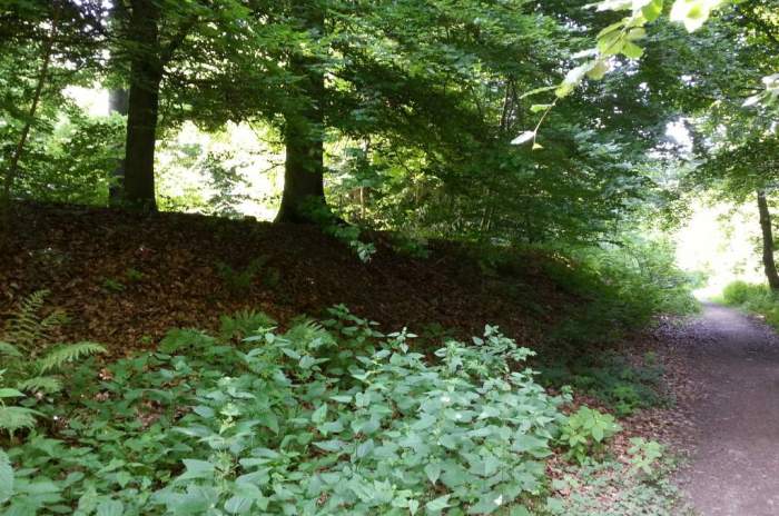 Taunusstein - © doatrip.de Taunusstein - © doatrip.de