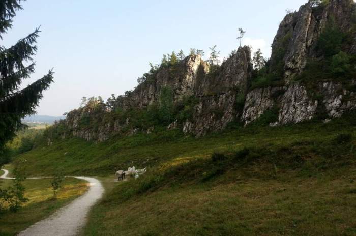 Viechtach - © doatrip.de