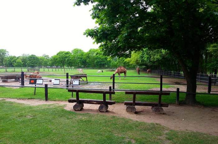 Wagenfeld - © doatrip.de Wagenfeld - © doatrip.de