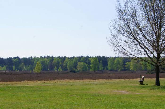 Wildeshausen - © doatrip.de Wildeshausen - © doatrip.de