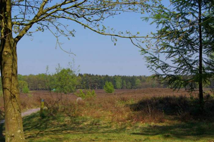 Wildeshausen - &copy; doatrip.de