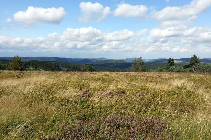 Winterberg - © doatrip.de