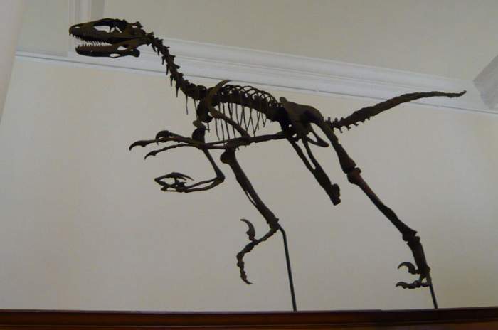 Cambridge - © doatrip.de Cambridge - © doatrip.de