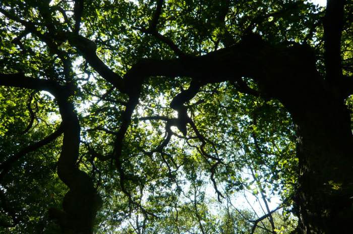 Edwinstowe - &copy; doatrip.de