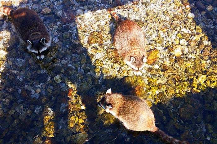 Grünau im Almtal - © doatrip.de