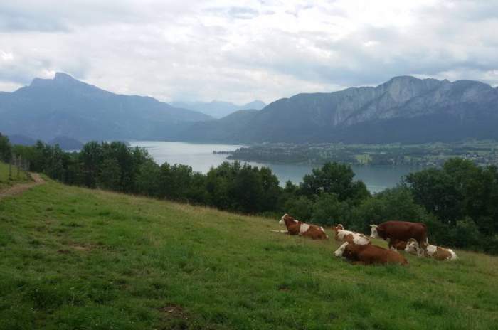 Mondsee - © doatrip.de