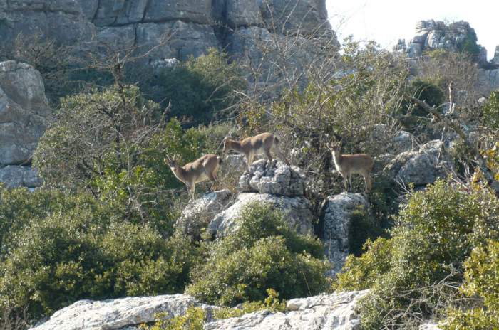 Antequera - © doatrip.de