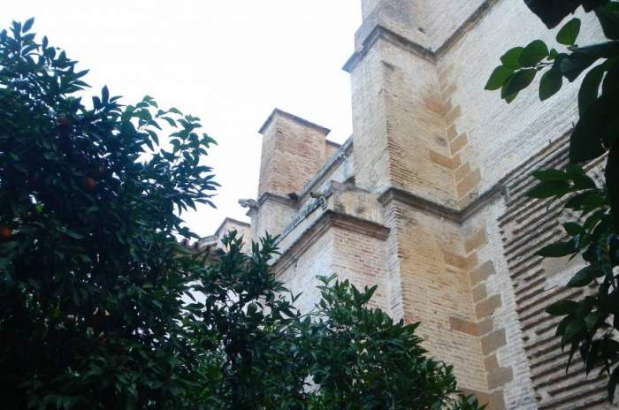 Carmona - &copy; doatrip.de