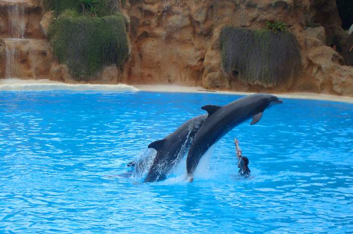 Puerto de la Cruz - © doatrip.de