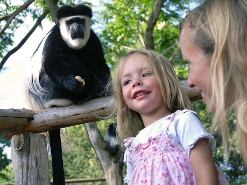 Local destination Allwetterzoo Münster in Münster 