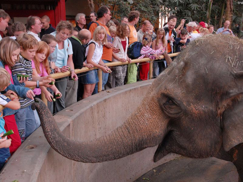 Local destination Allwetterzoo Münster in Münster 